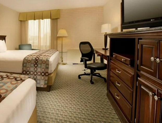 Hotel Lotus hotel detail image 4