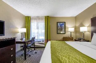 Comfort Inn & Suites Kansas City - Northeast hotel detail image 4