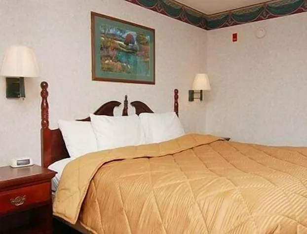 Quality Inn Edmund Pettus Bridge Area hotel detail image 1