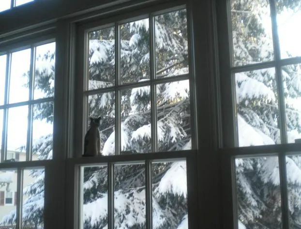 Fleetwood House Bed & Breakfast hotel detail image 4