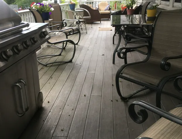 Fleetwood House Bed & Breakfast hotel detail image 2