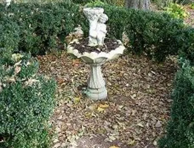 The Bennett House Bed & Breakfast hotel detail image 4