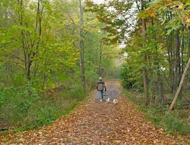 The Connecticut River Valley Inn hotel detail image 2