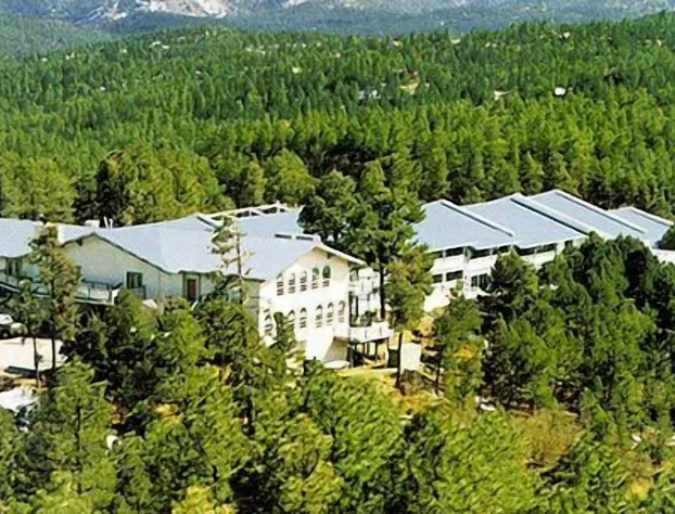 Swiss Chalet Inn hotel detail image 1