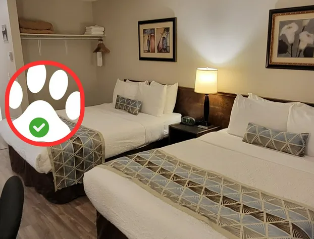 Recreation Inn & Suites hotel detail image 4