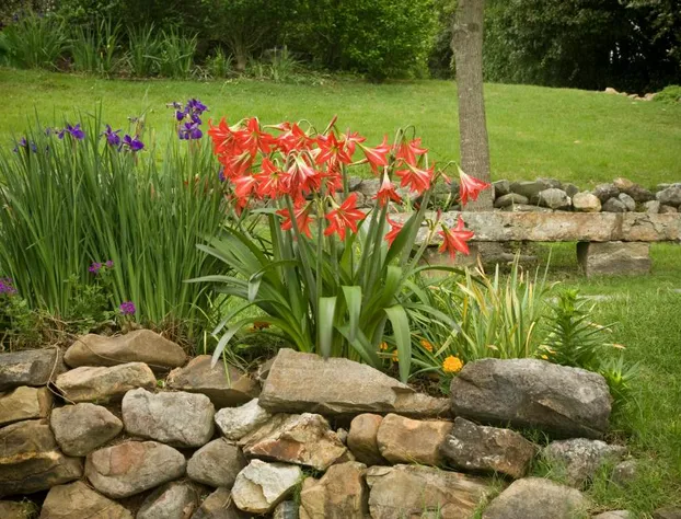 Lookout Point Lakeside Inn hotel detail image 2