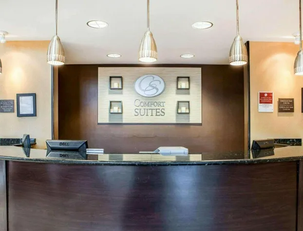 Comfort Suites hotel detail image 2