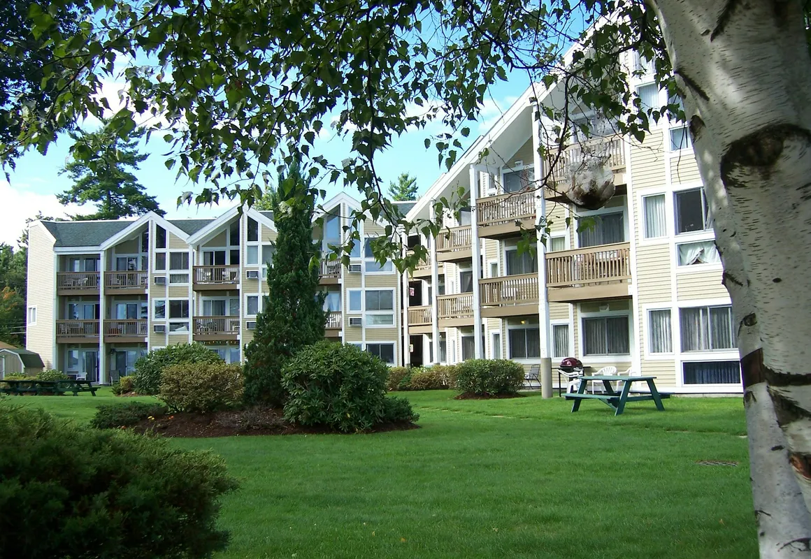 Misty Harbor Resort hotel hero