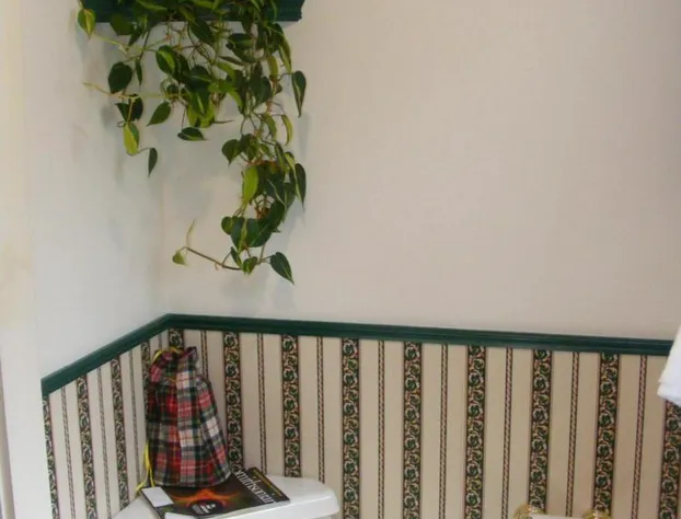 The Tartan Fox at the Meadmere hotel detail image 1