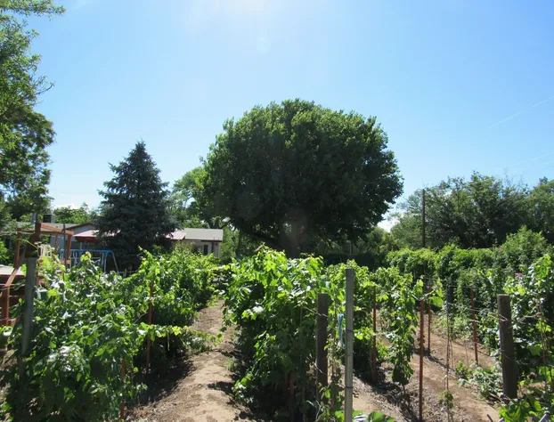 Red Horse Bed and Breakfast hotel detail image 4