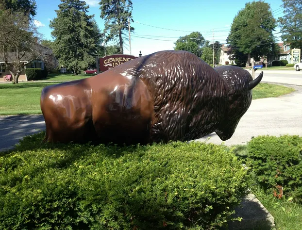 Clarence Inn hotel detail image 3