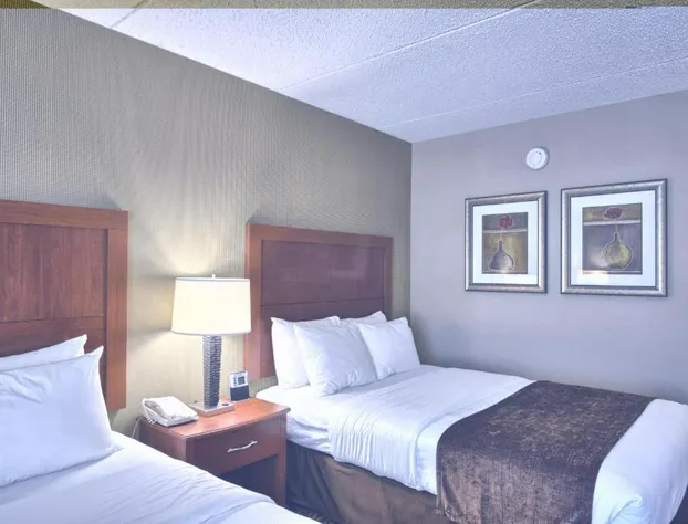 Clarion Inn & Suites Cortland - University Area hotel detail image 3