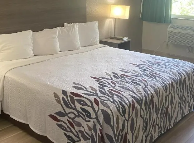 Red Roof Inn Queensbury hotel detail image 3