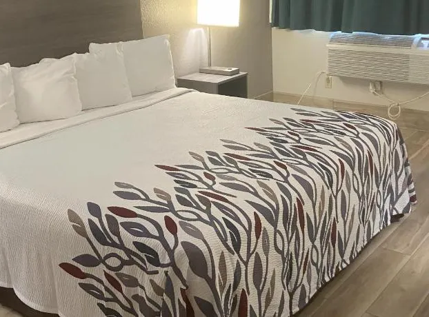 Red Roof Inn Queensbury hotel detail image 4