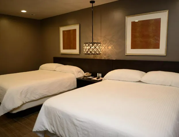 Hotel Le Rêve Pasadena hotel detail image 4