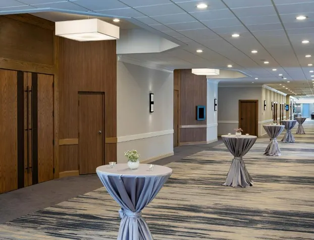 Sheraton Charlotte Airport Hotel hotel detail image 3