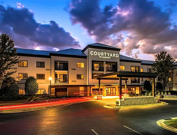 Courtyard by Marriott Ballantyne hotel detail image 1