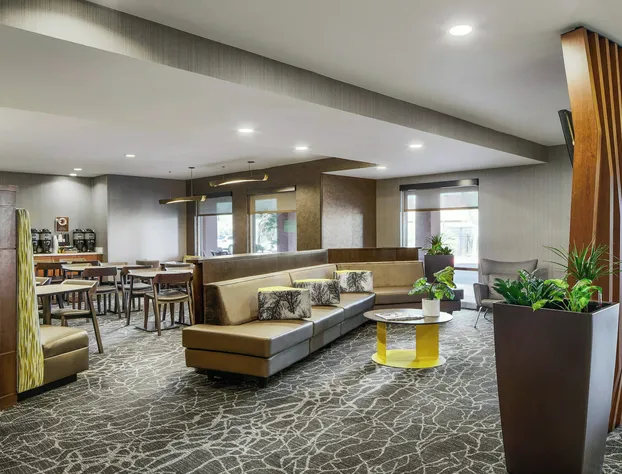 SpringHill Suites Tempe at Arizona Mills Mall hotel detail image 3