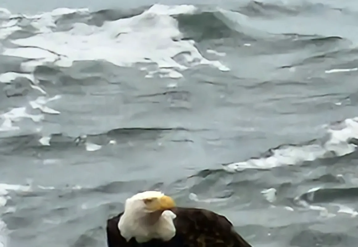 Inn at Arch Rock hotel hero