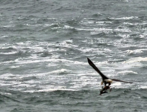 Inn at Arch Rock hotel detail image 1