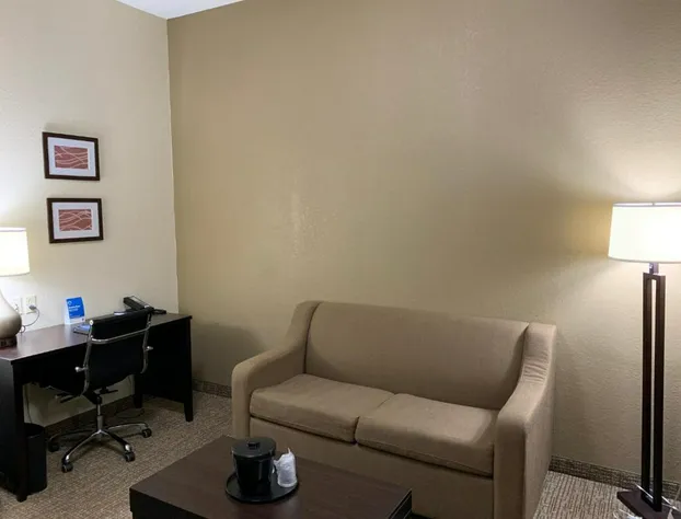 Comfort Inn & Suites Atlanta/Smyrna hotel detail image 4