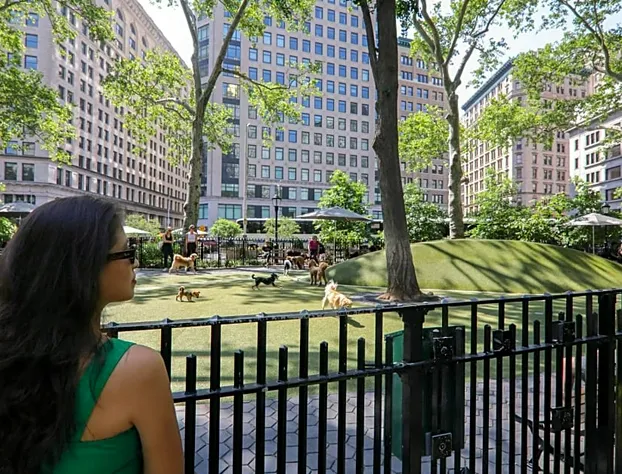 The Evelyn Hotel hotel detail image 4