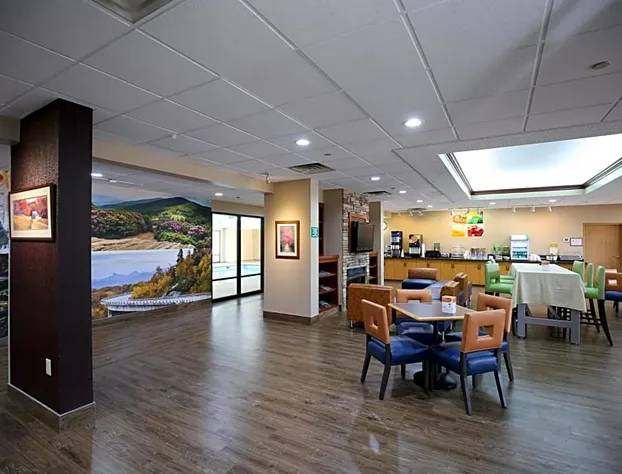 Quality Inn & Suites Boone - University Area hotel detail image 4