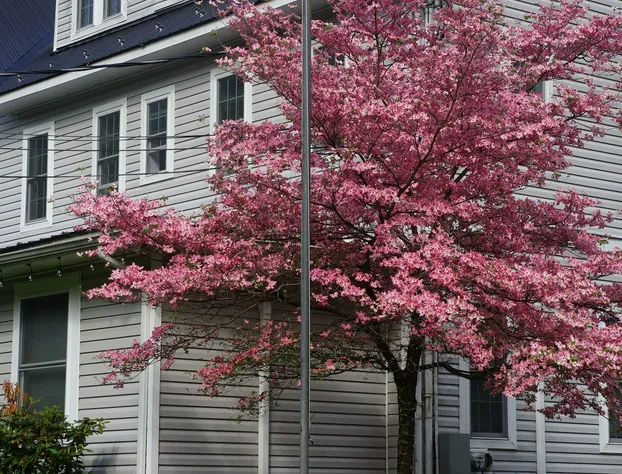 The Frogtown Inn hotel detail image 2