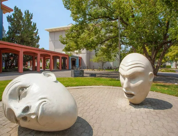 Holiday Inn Express & Suites Davis - University Area by IHG hotel detail image 3