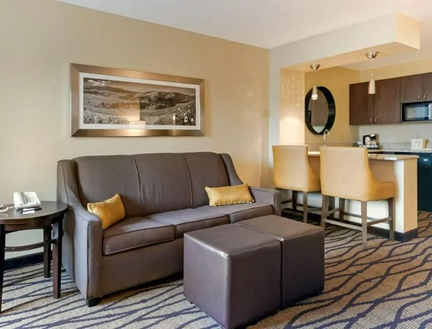 Comfort Inn & Suites Market - Airport hotel detail image 1