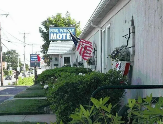 Sea Whale Motel hotel detail image 1