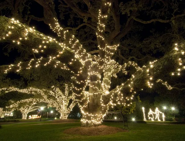 Grand Hotel Golf Resort & Spa, Autograph Collection hotel detail image 3