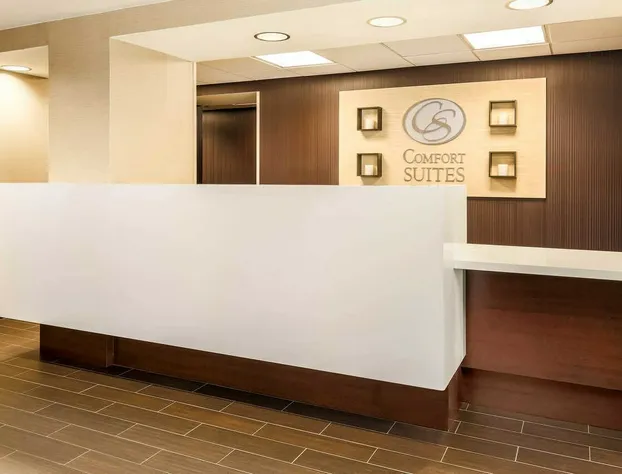 Comfort Suites DFW North/Grapevine hotel detail image 1