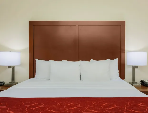 Comfort Suites DFW North/Grapevine hotel detail image 3