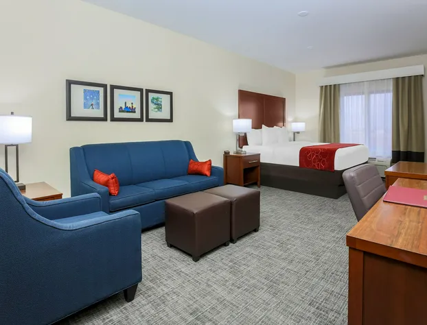 Comfort Suites DFW North/Grapevine hotel detail image 4