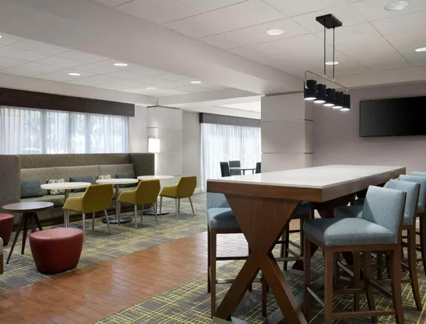 Hampton Inn Houston-Near The Galleria hotel detail image 2