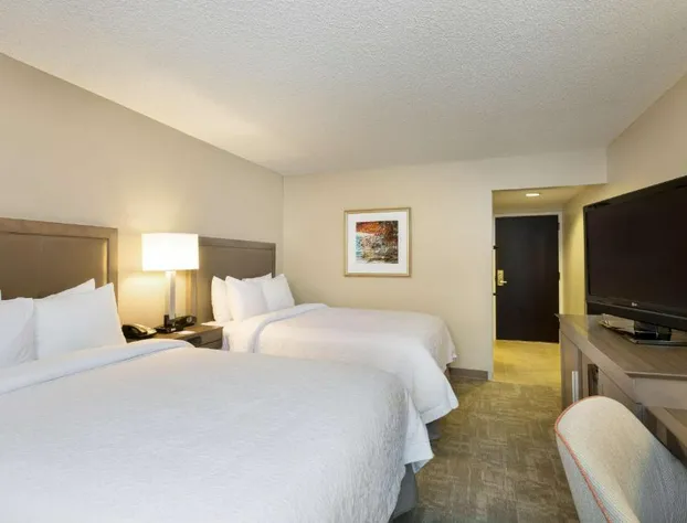 Hampton Inn Houston-Near The Galleria hotel detail image 4