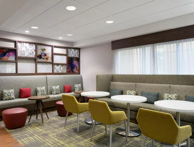 Hampton Inn Houston-Near The Galleria hotel detail image 1