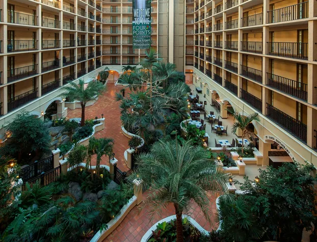 Four Points by Sheraton Suites Tampa Airport Westshore hotel detail image 1