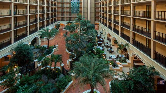 Four Points by Sheraton Suites Tampa Airport Westshore hotel detail image 1