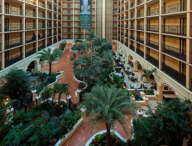 Four Points by Sheraton Suites Tampa Airport Westshore hotel detail image 1