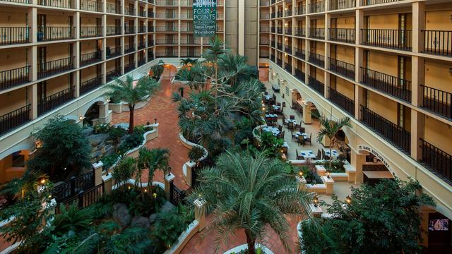 Four Points by Sheraton Suites Tampa Airport Westshore hotel detail image 2