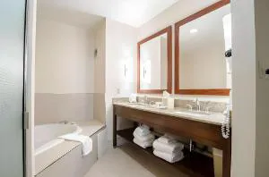 Comfort Suites Innsbrook - Short Pump hotel detail image 4