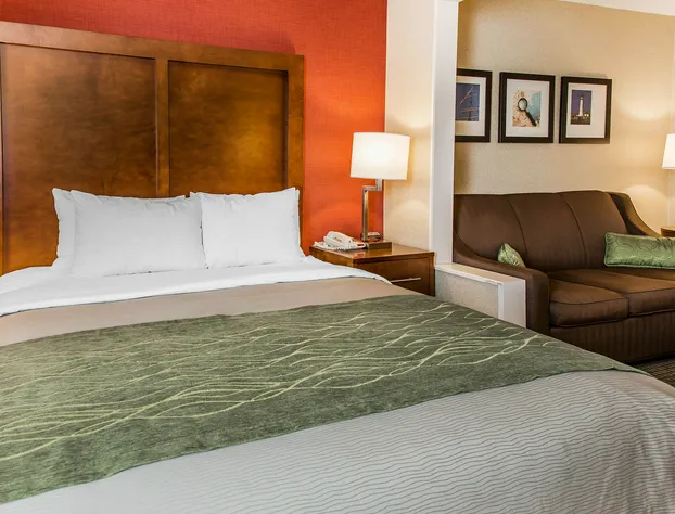 Comfort Inn Boston hotel detail image 3