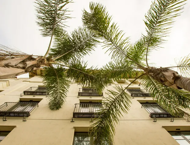 Kimpton Canary Hotel by IHG hotel detail image 3
