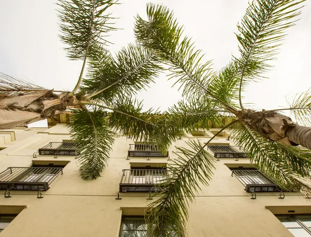 Kimpton Canary Hotel by IHG hotel detail image 3