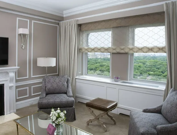 The Sherry Netherland hotel detail image 4