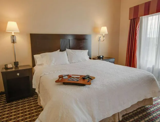 Hampton Inn & Suites Las Cruces I-25 hotel detail image 3