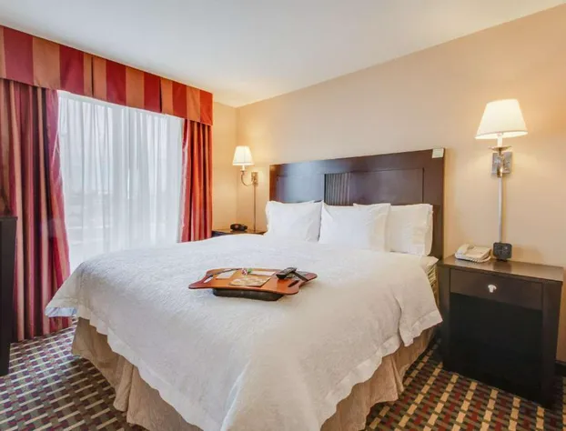 Hampton Inn & Suites Las Cruces I-25 hotel detail image 4