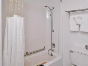 Americas Best Value Inn & Suites Jackson, MI hotel detail image 4